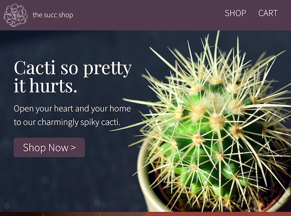 The Succ Shop Website Design Image